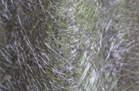 Bidston Hill fibreglass roof work